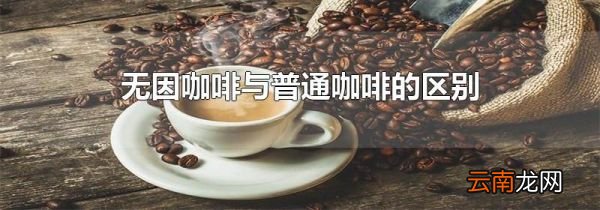 无因咖啡与普通咖啡的区别