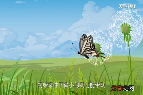蝴蝶效应是什么意思蝴蝶效应的含义是什么