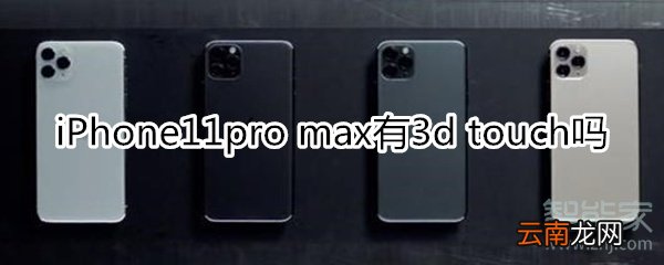iPhone11pro max有3d touch吗