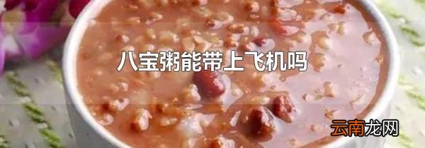 八宝粥能带上飞机吗