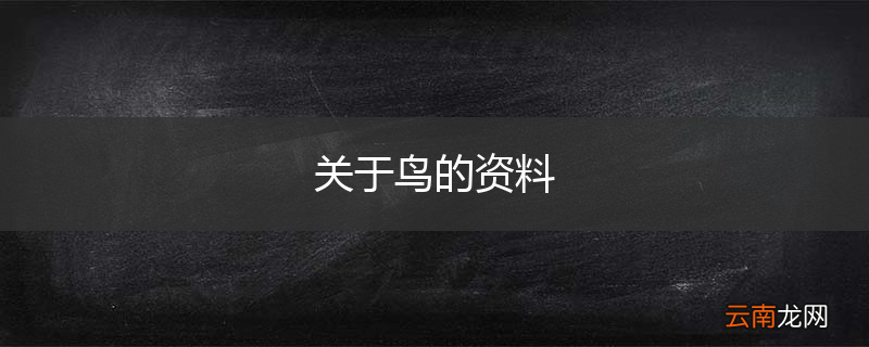 关于鸟的资料