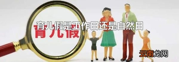 育儿假是工作日还是自然日