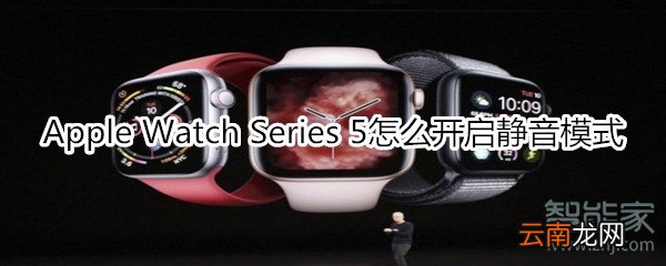 Apple Watch Series 5怎么开启静音模式