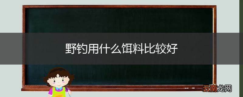 野钓用什么饵料比较好