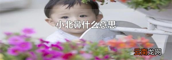 小北鼻什么意思