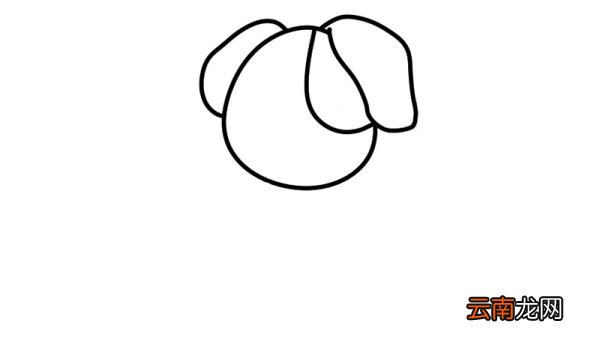 画狗的简笔画