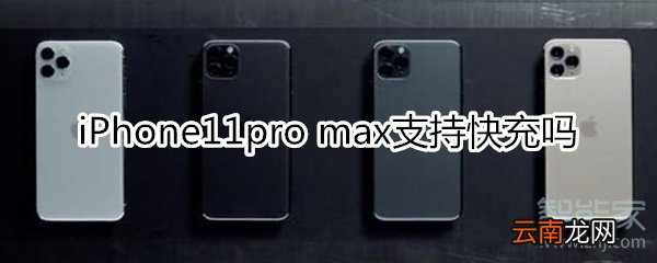 iPhone11pro max支持快充吗