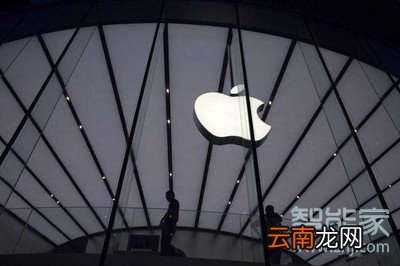 iphone11有几种机身颜色