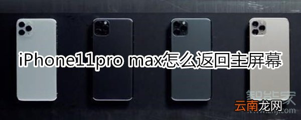 iPhone11pro max怎么返回主屏幕