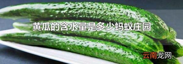 黄瓜的含水量是多少蚂蚁庄园