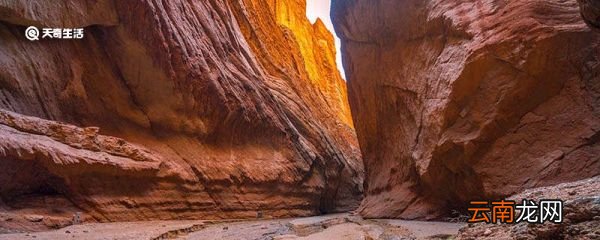 地球上储存碳元素最多的地方是哪里 地球上储存碳元素最多的地方在哪里