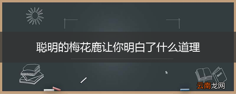 聪明的梅花鹿让你明白了什么道理