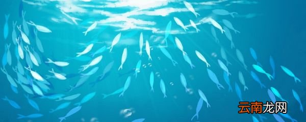 海底两万里冰山封路主要内容 海底两万里冰山封路的主要内容是什么