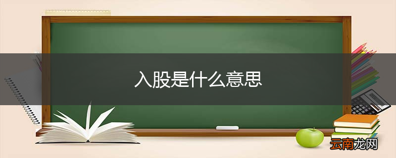 入股是什么意思