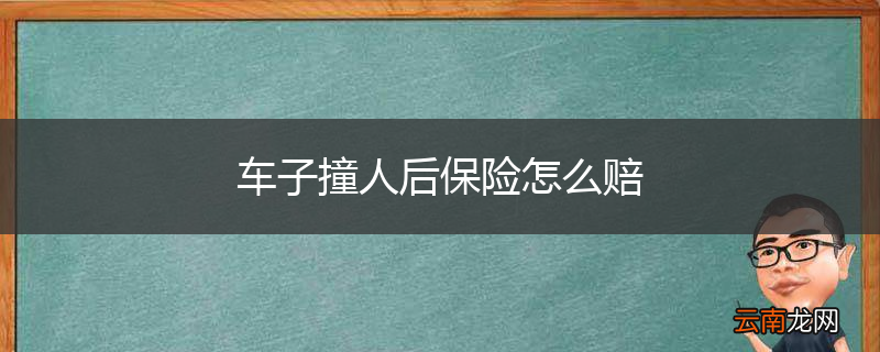 车子撞人后保险怎么赔