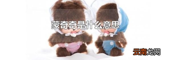 蒙奇奇是什么意思