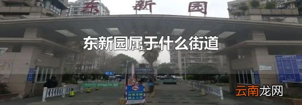 东新园属于什么街道