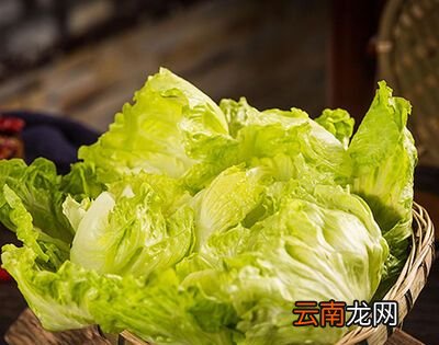 100g大白菜和柠檬哪个含维生素c高？