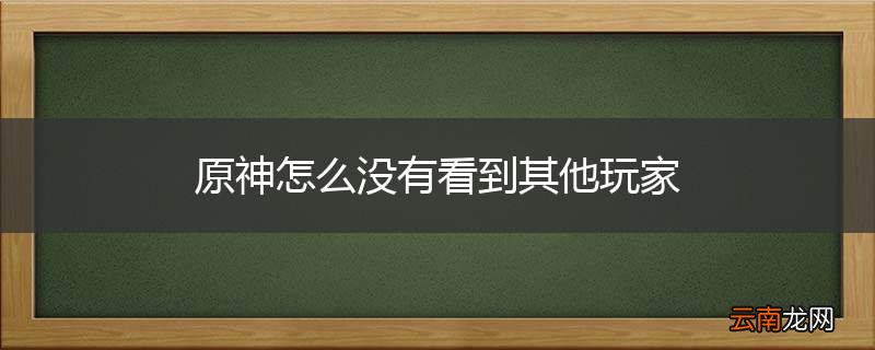 原神怎么没有看到其他玩家