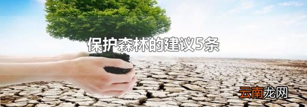 保护森林的建议5条