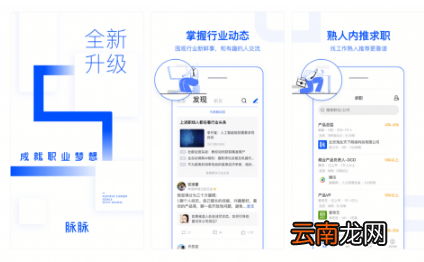 脉脉App新版本评测:内容圈层分三级