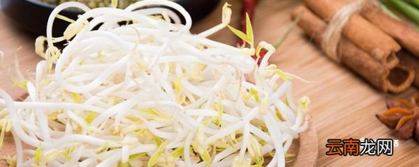 豆芽怎么保存过夜 豆芽如何保存