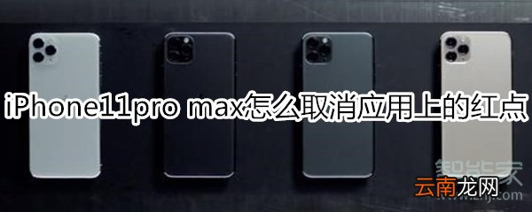 iPhone11pro max怎么取消应用上的红点