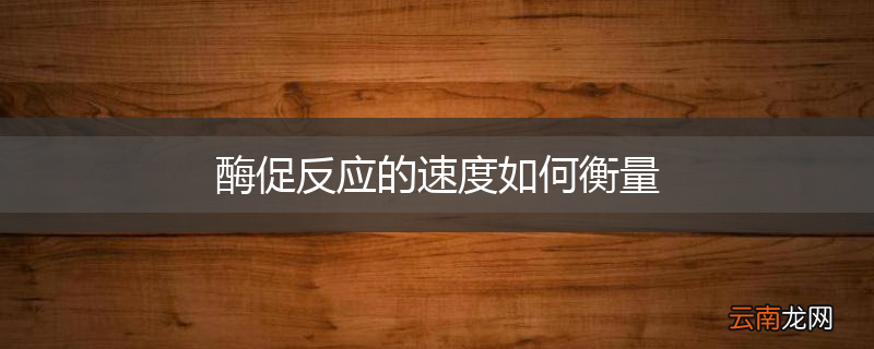 酶促反应的速度如何衡量