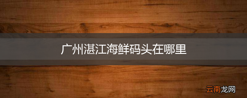 广州湛江海鲜码头在哪里
