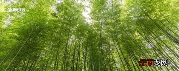 山居秋暝中竹喧的意思 山居秋暝中竹喧是什么意思