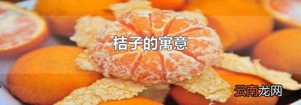 桔子的寓意