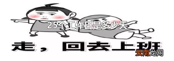25个工作日是多少天