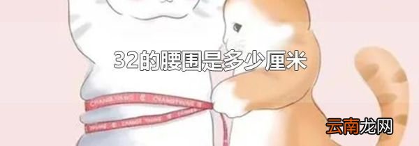 32的腰围是多少厘米
