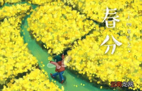 春分为什么叫春分？