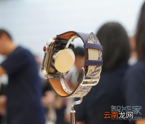Apple Watch Series 5怎么保养表带