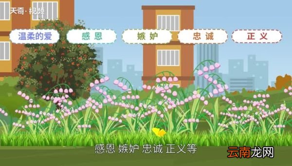 风铃草的花语 风铃花花语是什么