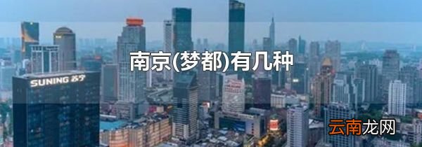 梦都 南京有几种