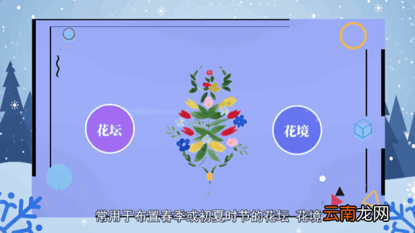 勿忘我花语 勿忘我花语是什么