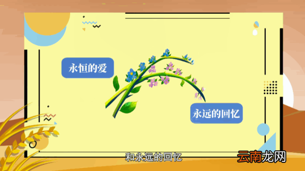 勿忘我花语 勿忘我花语是什么
