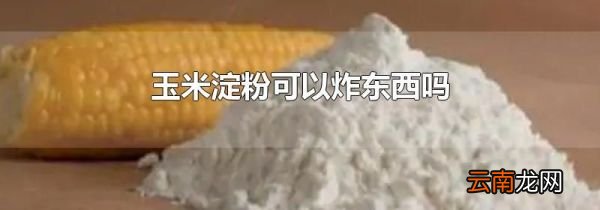 玉米淀粉可以炸东西吗