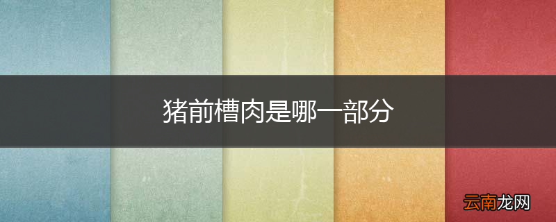 猪前槽肉是哪一部分