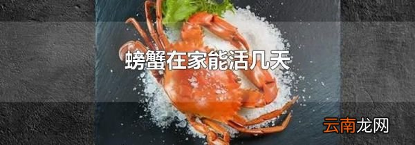螃蟹在家能活几天