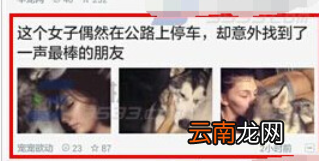 一点资讯中将图片保存的详细图文讲解