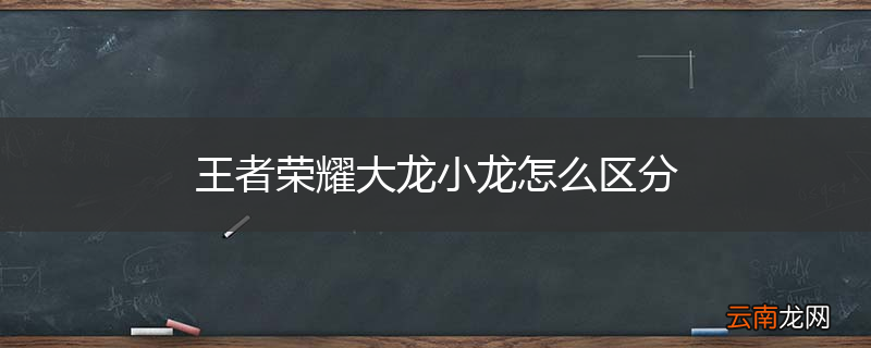 王者荣耀大龙小龙怎么区分