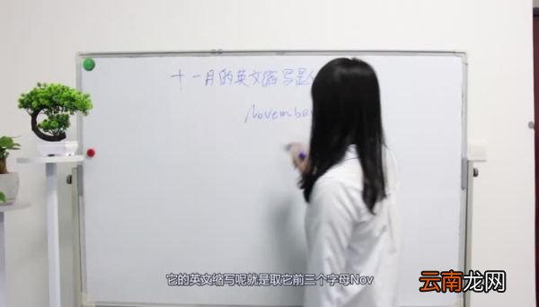 十一月英文缩写是什么 十一月英文缩写怎么写