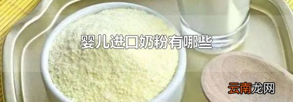 婴儿进口奶粉有哪些