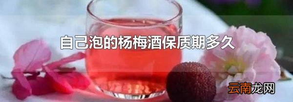 自己泡的杨梅酒保质期多久