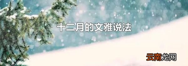 十二月的文雅说法