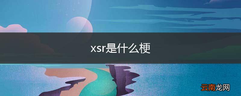 xsr是什么梗
