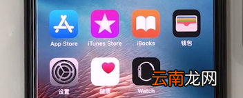 Apple Watch Series 5怎么在手机上设置密码